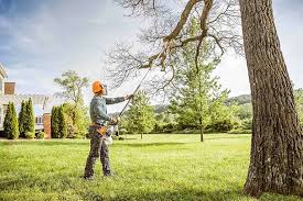 Best Commercial Tree Services  in USA